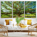 Majestic Oak Tree Wall Art – Serene Nature Canvas Print with