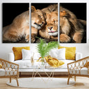Lion and Lioness Wall Art Canvas Print – Framed African by MyGreatCanvas | Canvas Wall Art Prints | Photo Prints & Wall Decor