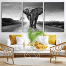 Black and White Elephant Wall Art Canvas Print