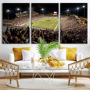 Washington-Grizzly Stadium Canvas Print, American Football