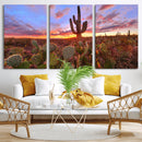 Arizona Desert Wall Art Canvas Print - Framed Deser Sunset