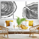 Abstract Large Tree Rings – Minimalist Black and White Wood