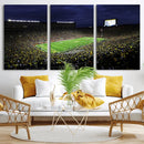 Michigan Wolverines Football Canvas Wall Decor, Football