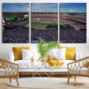 South Carolina Gamecocks Football Team Print - Columbia