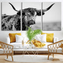 Texas Cow Longhorn Wall Art Canvas Print in Black and White