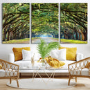 Wormsloe State Plantation Driveway Wall Art Canvas Print by MyGreatCanvas | Canvas Wall Art Prints | Photo Prints & Wall Decor