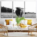 Black and White Highland Cow Wall Art Canvas Print | Rustic