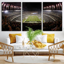Eagles Field Stadium Wall Art - Philadelphia Eagles Football