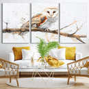 Barn Owl Wall Art on Branch | Stunning Canvas Print for