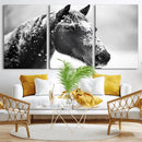 Horse Canvas Print - Winter Horse Snow Wall Art Canvas Print