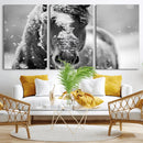 Black and White Horse Winter Wall Art | Ready to Hang and