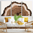Rustic Wood Rings Wall Art | Nature-Inspired Tree Ring