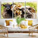 Curious Cows Farmhouse Wall Art | Ready to Hang and Framed