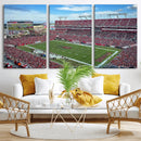 Florida Tampa Raymond James Stadium Wall Art Canvas Print -