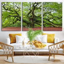 Framed Angel Oak Tree Wall Art - 3-Panel Canvas Prints,