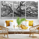 Black White Angel Oak Tree Wall Art - Timeless