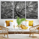 Majestic Angel Oak Tree Black and White Canvas Print – Multi by MyGreatCanvas | Canvas Wall Art Prints | Photo Prints & Wall Decor