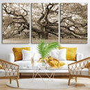 Sepia Framed Angel Oak Tree Wall Art - 3-Panel Canvas