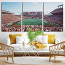 Framed Texas Memorial Stadium Canvas, University of Texas