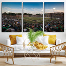 University of Charlotte 49ers Football Team Print -