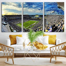 Framed USF Bulls Football Team Print - Tampa Raymond James by MyGreatCanvas | Canvas Wall Art Prints | Photo Prints & Wall Decor