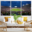 Michigan State Spartans Football Team Print - East Lansing