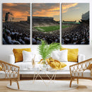 Michigan State Spartans Football Team Print - East Lansing