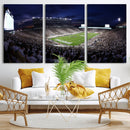Michigan State Spartans Canvas, Framed Football Team Print -