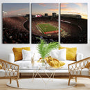 Ohio State University Buckeyes Football Team Print -
