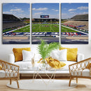 Rice University Owls Football Team Print - Houston Rice by MyGreatCanvas | Canvas Wall Art Prints | Photo Prints & Wall Decor