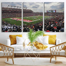 Rutgers Scarlet Knights Football Team Print - SHI Stadium,