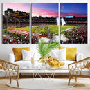 Stanford University Cardinal Football Team Print - Stanford