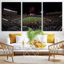 Framed Texas Tech Red Raiders Stadium Canvas, Texas Tech Red