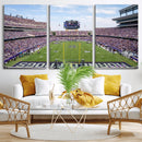 TCU Horned Frogs Football Team Print - Fort Worth Amon G.