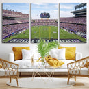 TCU Horned Frogs Football Team Print - Fort Worth Amon G.