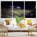 TCU Horned Frogs Football Team Print - Fort Worth Amon G.
