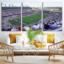 The Texas Christian University TCU Horned Frogs Football