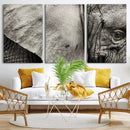 Elephant Wall Art Canvas Print