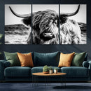 Black and White Scottish Cow Canvas Wall Art Highland Cattle