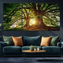 Majestic Ancient Tree Wall Art, NatureCanvas Print, Woodland by MyGreatCanvas | Canvas Wall Art Prints | Photo Prints & Wall Decor