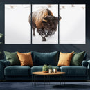 Bison Winter Wall Art Canvas Print For Farmhouse Decor