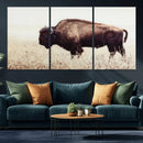 Bison in Field Wall Art Canvas Print For Farmhouse Barn