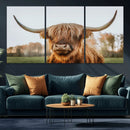 Highland Cow Animal Scottish Cattle Art Print Farmhouse Wall