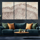 Tree Ring Wall Art Triptych, Rustic Wood Ring Canvas Print,