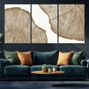 Rustic Brown Tree Ring Wall Art Canvas Print – Framed and