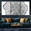 Rustic Tree Ring Wall Art Canvas Print – Framed and Ready to