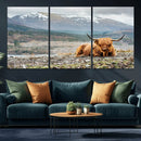 Highland Cow Horn Farm Wall Art Canvas Print