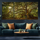 Ancient Angel Oak Tree Art Sunburst Canvas Print-