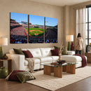 Cincinnati Reds Baseball Canvas Print - American Ball