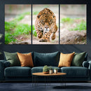Leopard on the Prowl - Stunning Large Framed Leopard Wall